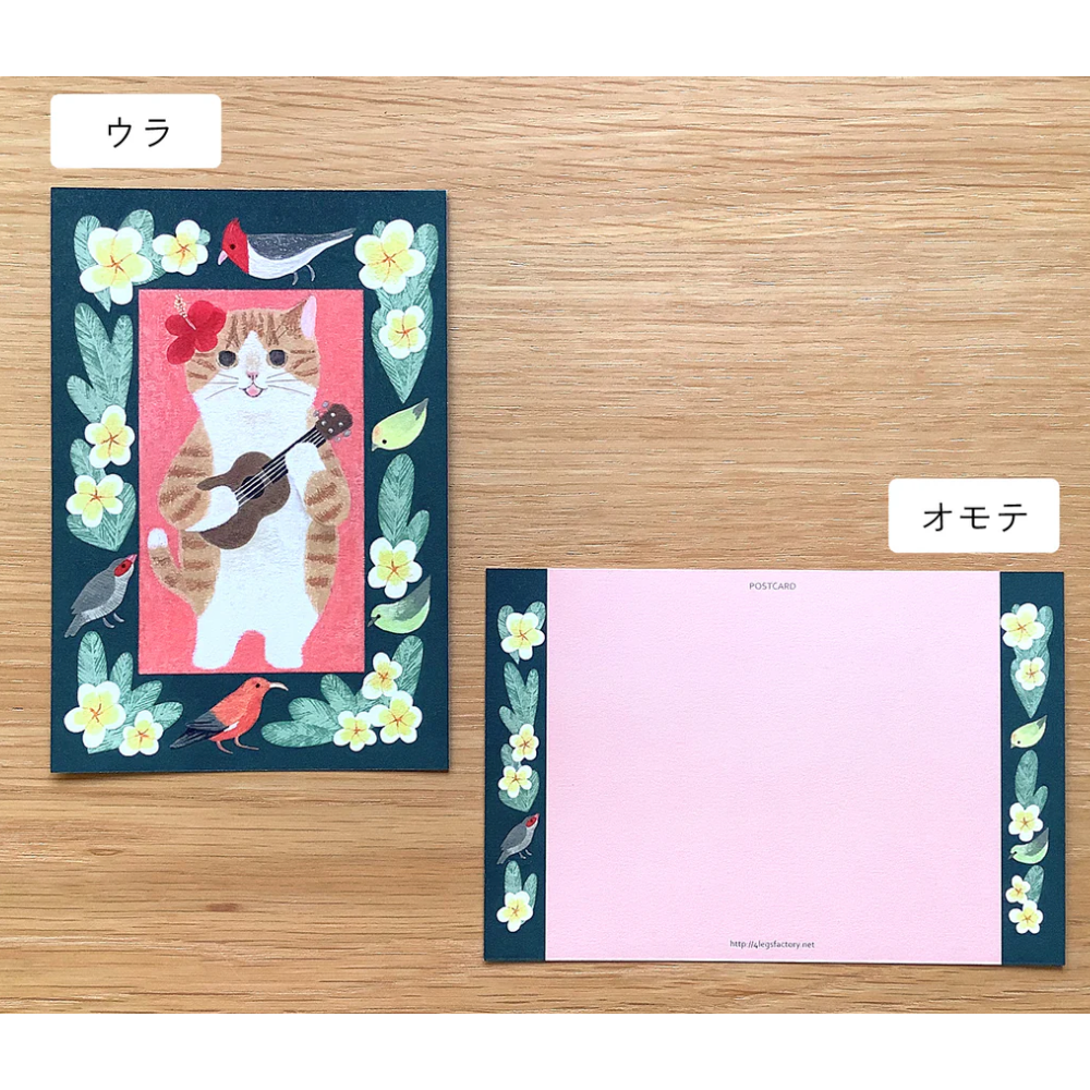 new#6夏威夷茶白虎斑（茶白ハワイ）