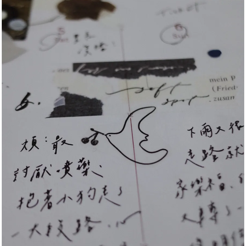 茄子先生 回家的鳥 Home coming 3cm亮面PET膠帶 【立夏手帳生活】-細節圖5