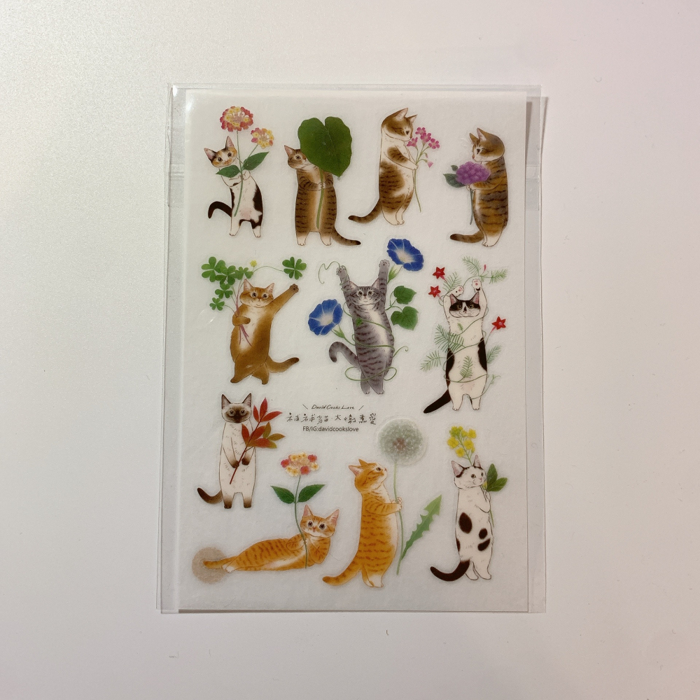 【共3款】補補貓・大衛煮愛 貓咪轉印貼紙【立夏手帳生活】-細節圖4