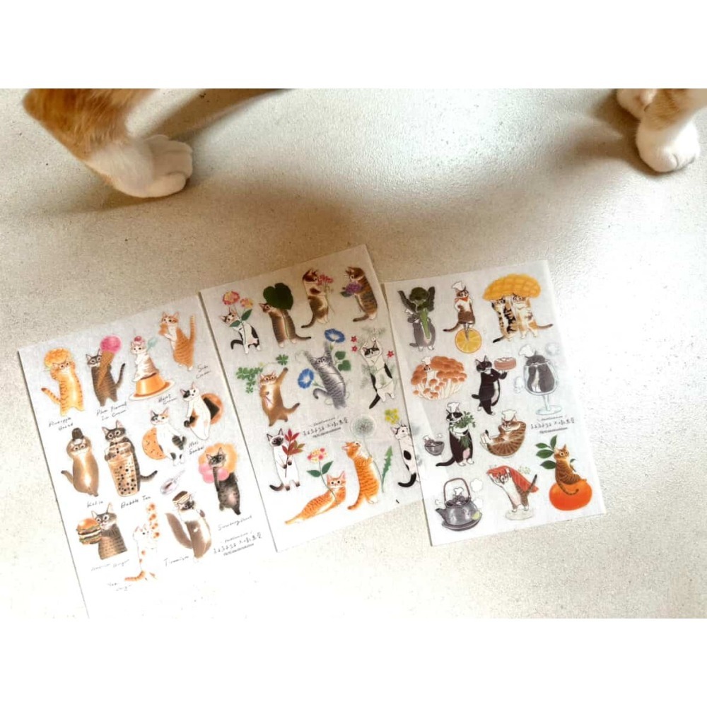 【追加新2款】補補貓・大衛煮愛 貓咪轉印貼紙【立夏手帳生活】-細節圖4