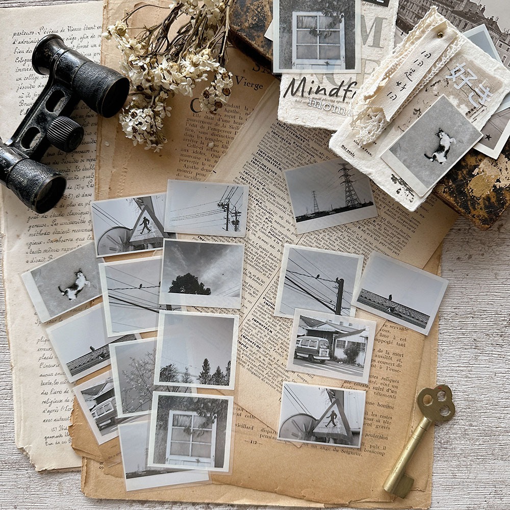 Asteroid b-610小行星 漫漫日常 5cm亮面PET膠帶【立夏手帳生活】-細節圖3