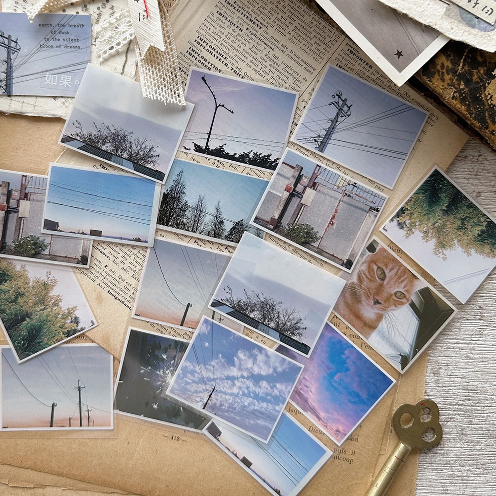 Asteroid b-610小行星 漫步日和 5cm亮面PET膠帶【立夏手帳生活】-細節圖3