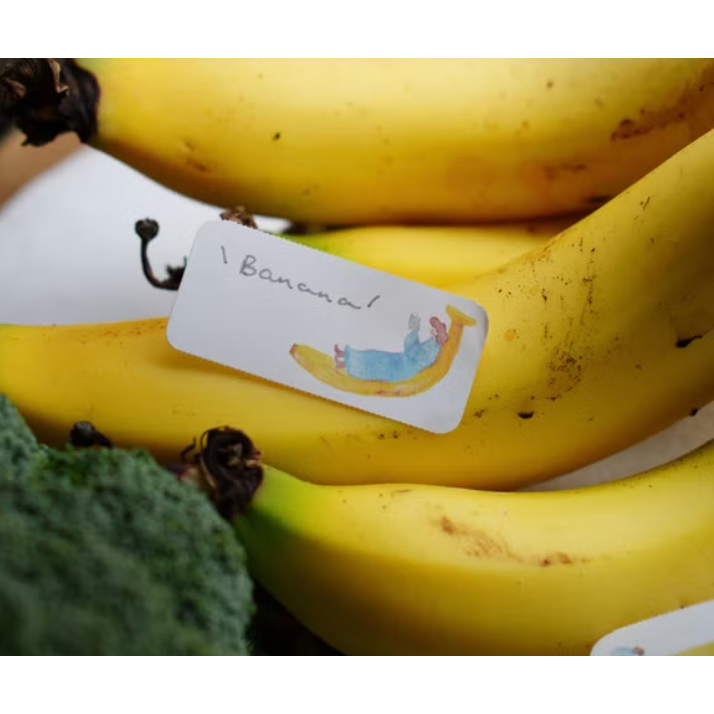 IVY SNOW 森空 Farmer＇s Market memo貼紙捲【立夏手帳生活】-細節圖2