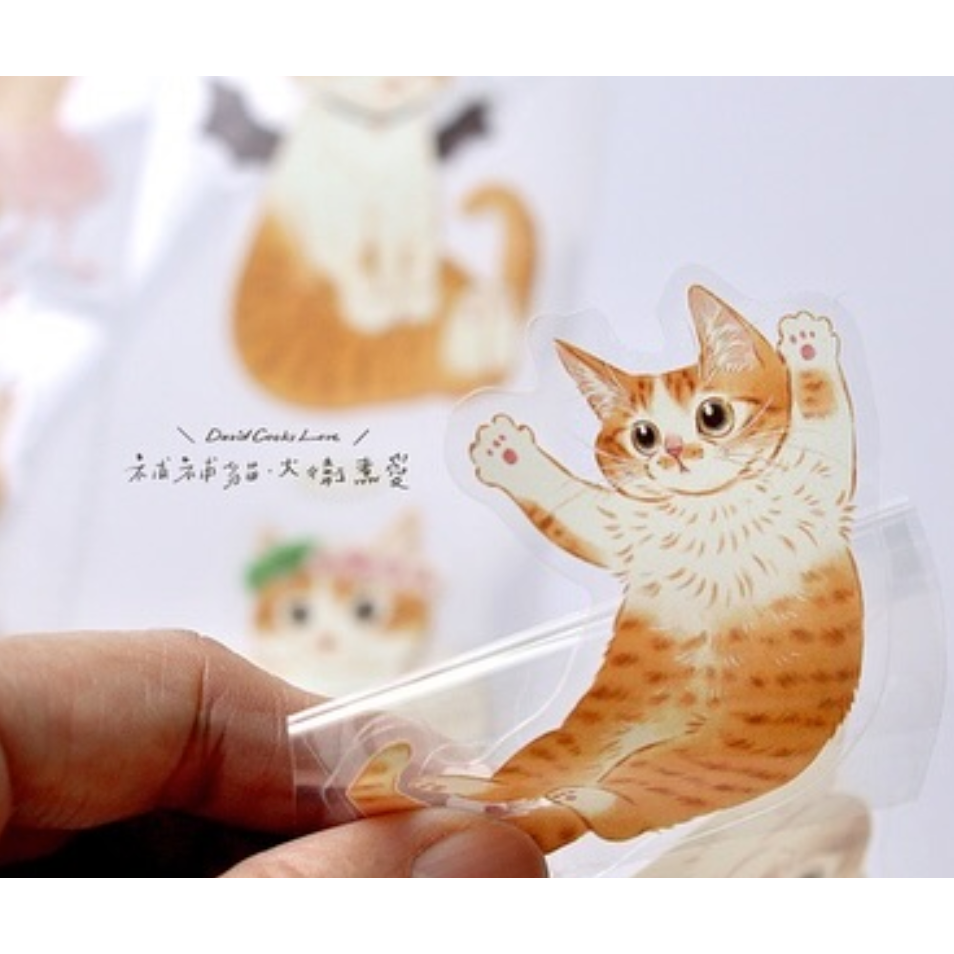 補補貓・大衛煮愛 米亞小姐 6cm割型亮面PET膠帶【立夏手帳生活】-細節圖2