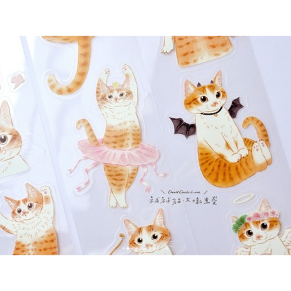 補補貓・大衛煮愛 米亞小姐 6cm割型亮面PET膠帶【立夏手帳生活】-細節圖3