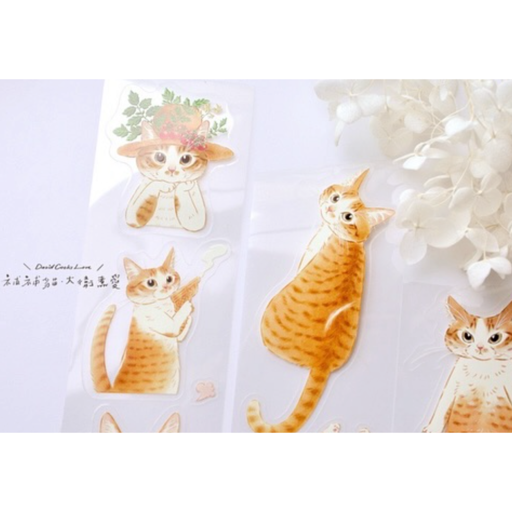 補補貓・大衛煮愛 米亞小姐 6cm割型亮面PET膠帶【立夏手帳生活】-細節圖4
