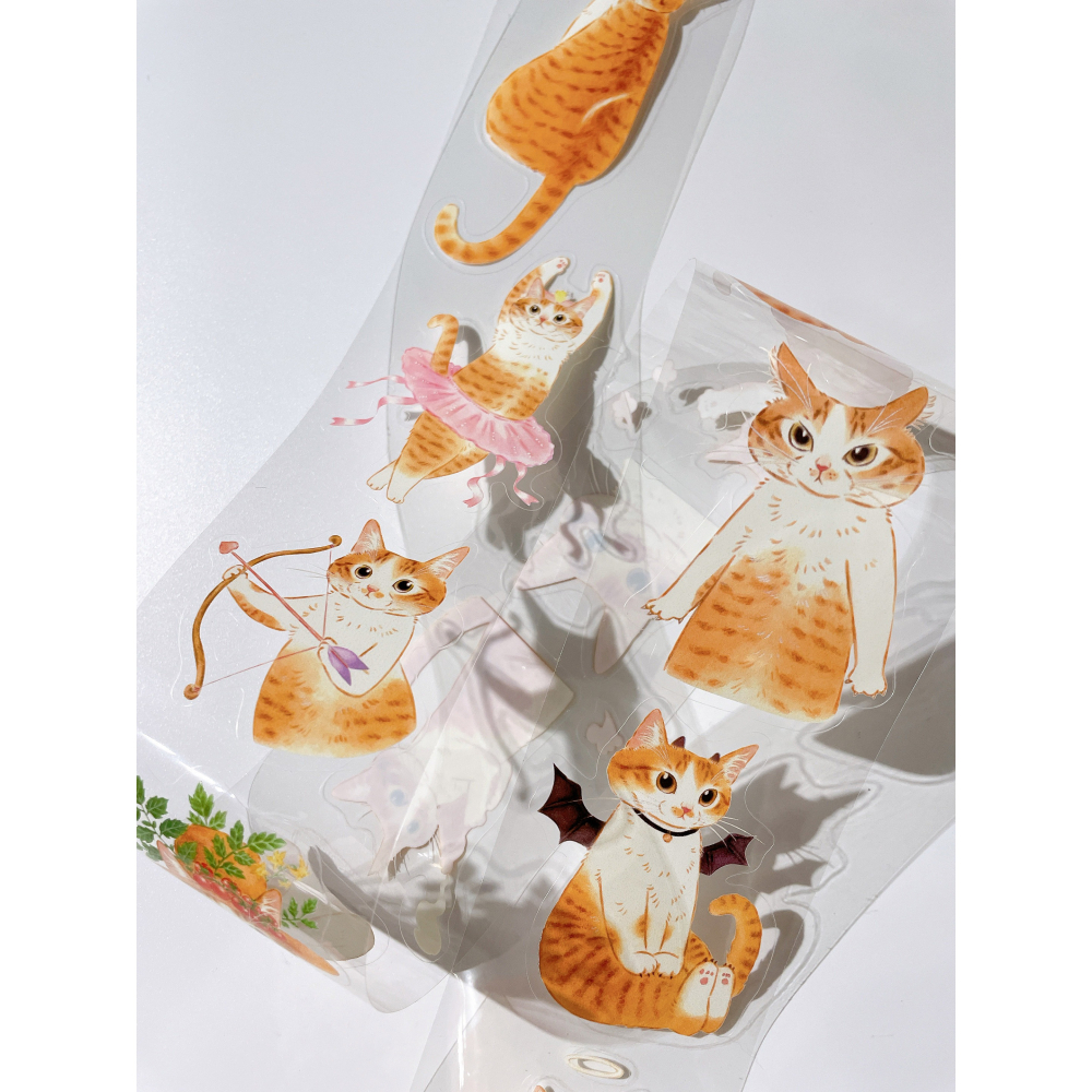 補補貓・大衛煮愛 米亞小姐 6cm割型亮面PET膠帶【立夏手帳生活】-細節圖8