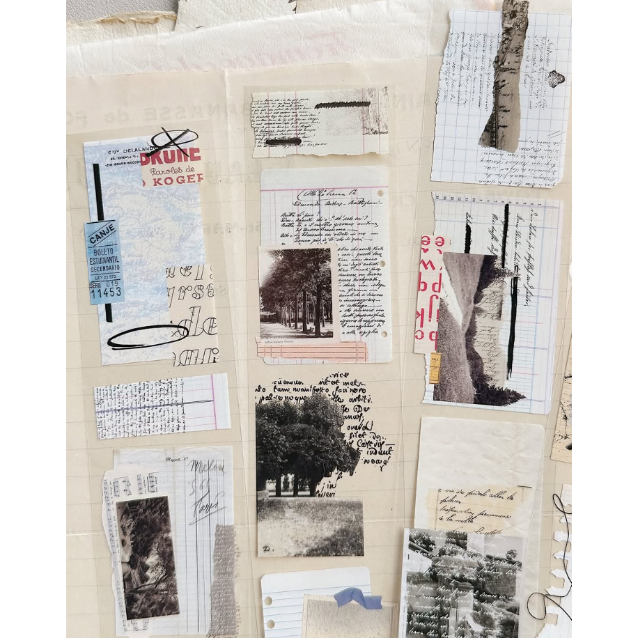 Asteroid b-610小行星 紙語留聲 4.5cm亮面PET膠帶【立夏手帳生活】-細節圖3