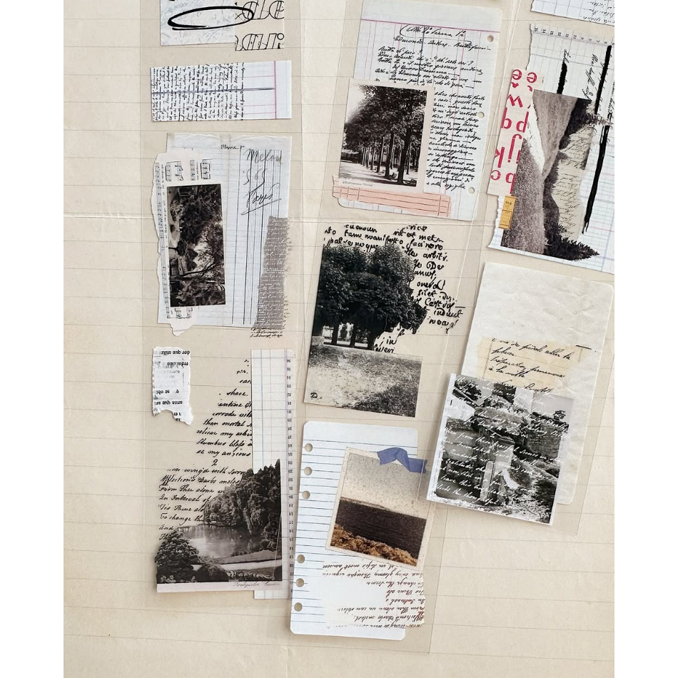 Asteroid b-610小行星 紙語留聲 4.5cm亮面PET膠帶【立夏手帳生活】-細節圖5