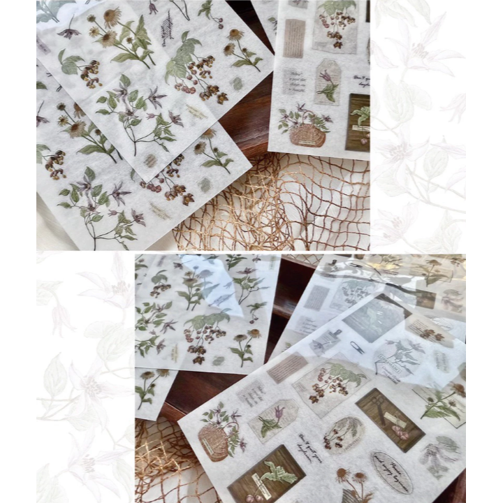 竹工凡花 秋季的呢喃祝福 花的姿態/花的細語 轉印貼紙包 共兩款 手帳貼紙【立夏手帳生活】-細節圖5