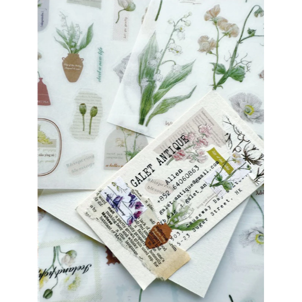 竹工凡花 夏季的呢喃祝福 花的姿態/花的細語 轉印貼紙包 共兩款 手帳貼紙【立夏手帳生活】-細節圖5