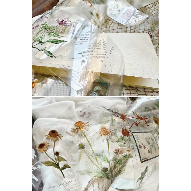 竹工凡花 秋季的呢喃祝福  亮面PET 膠帶【立夏手帳生活】-細節圖5