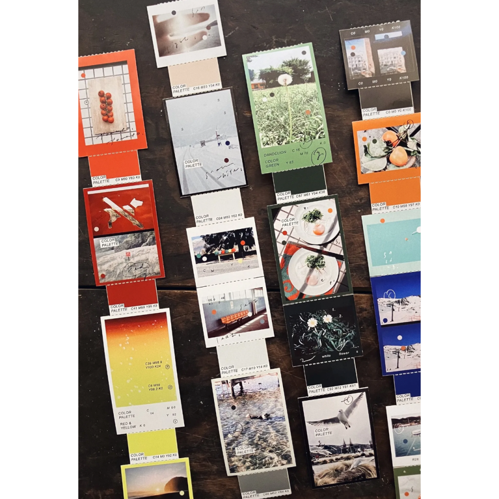 羊君 色彩學 Palette 造型撕線模造膠帶【立夏手帳生活】-細節圖2