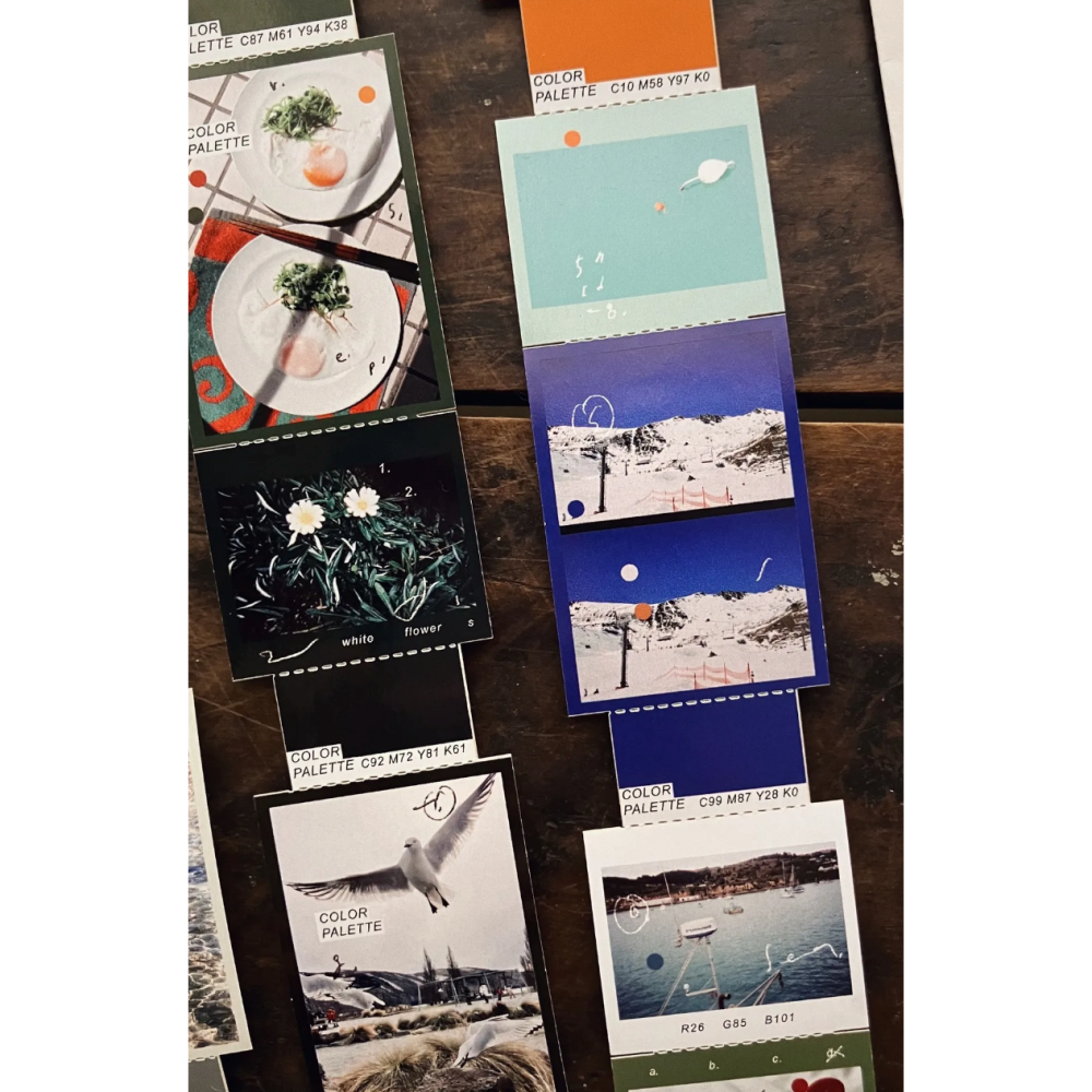 羊君 色彩學 Palette 造型撕線模造膠帶【立夏手帳生活】-細節圖5