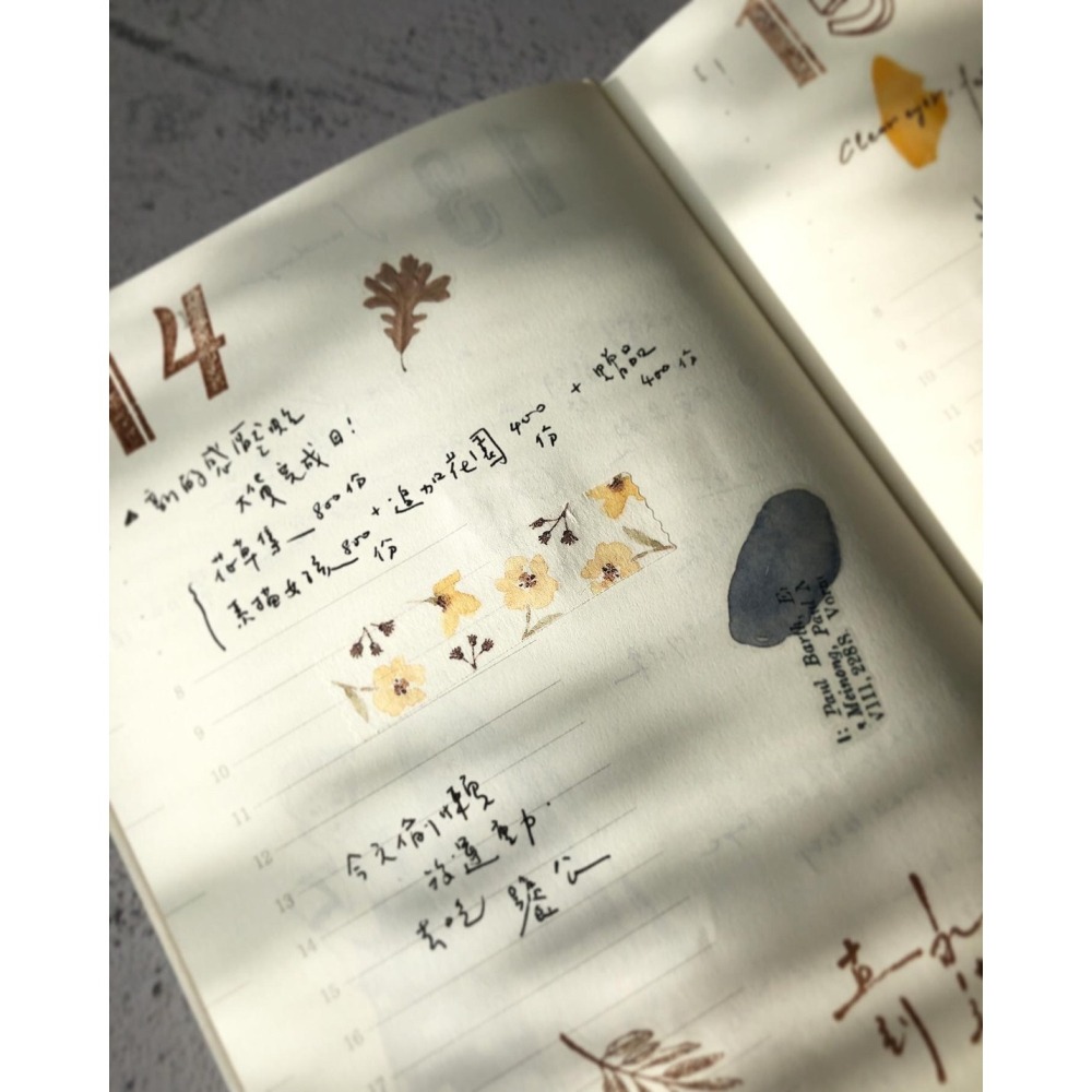 Pion 一段一段Paragraph 5cm和紙割型膠帶【立夏手帳生活】-細節圖7