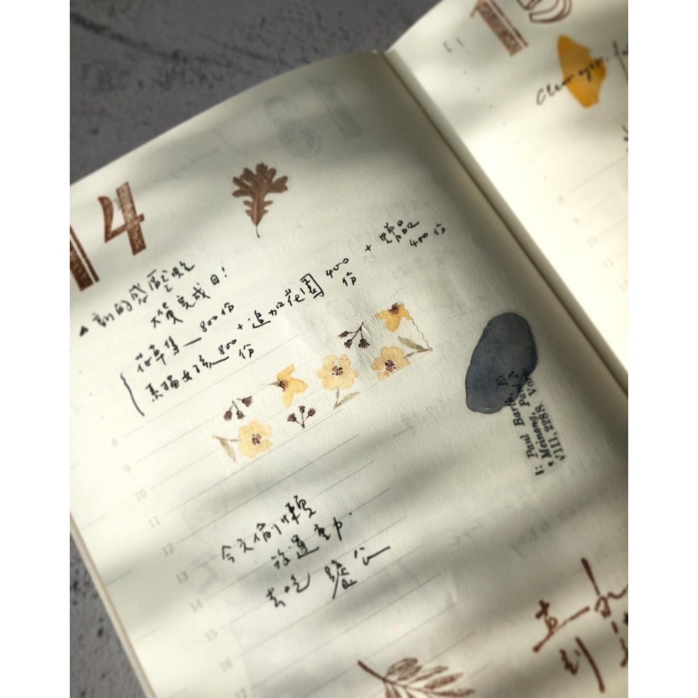 Pion 一段一段Paragraph 5cm和紙割型膠帶【立夏手帳生活】-細節圖7