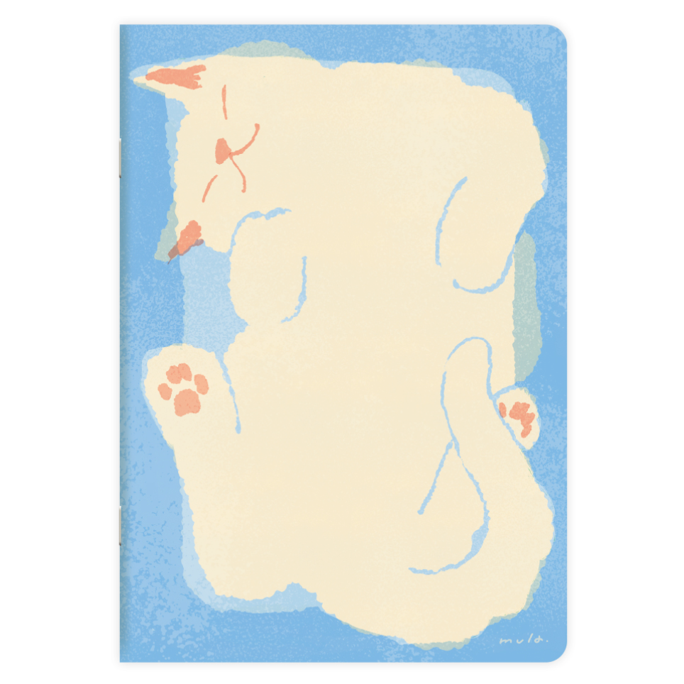 紙箱貓（箱入りねこ）