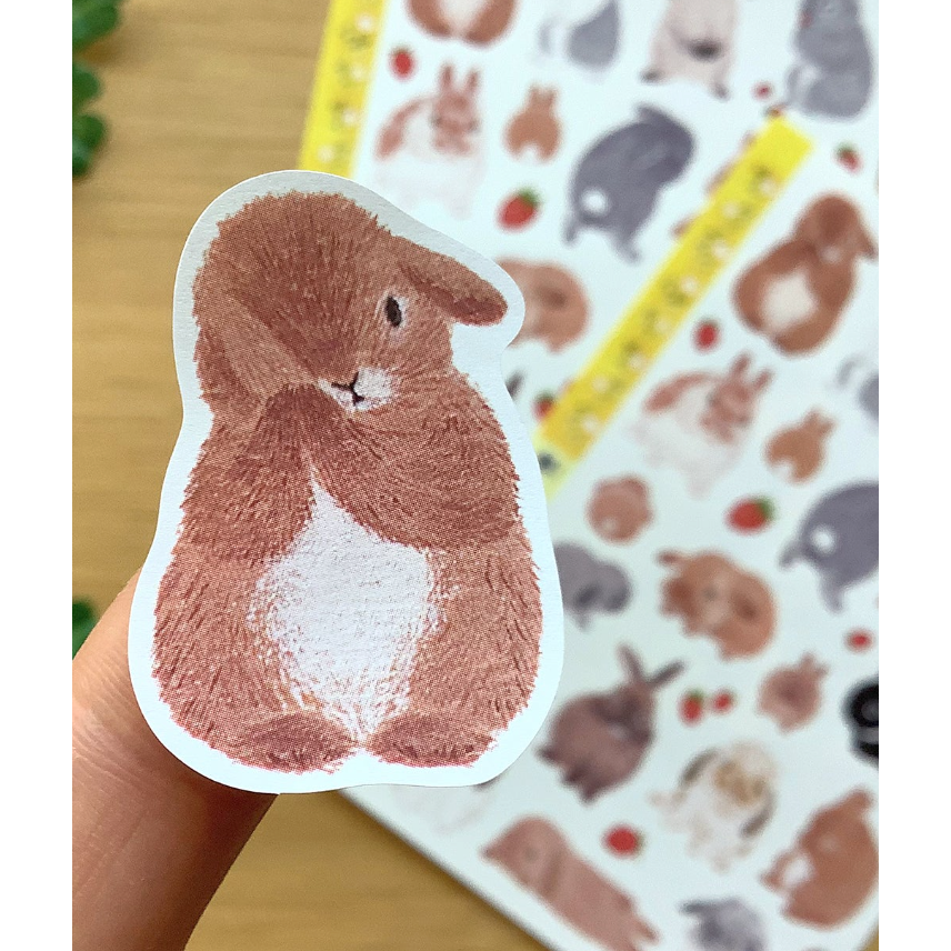 4legs 上質紙貼紙組 春天的兔兔款 4 legs 貓咪 日本製【立夏手帳生活】-細節圖4