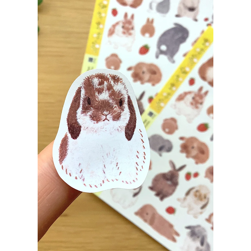 4legs 上質紙貼紙組 春天的兔兔款 4 legs 貓咪 日本製【立夏手帳生活】-細節圖5