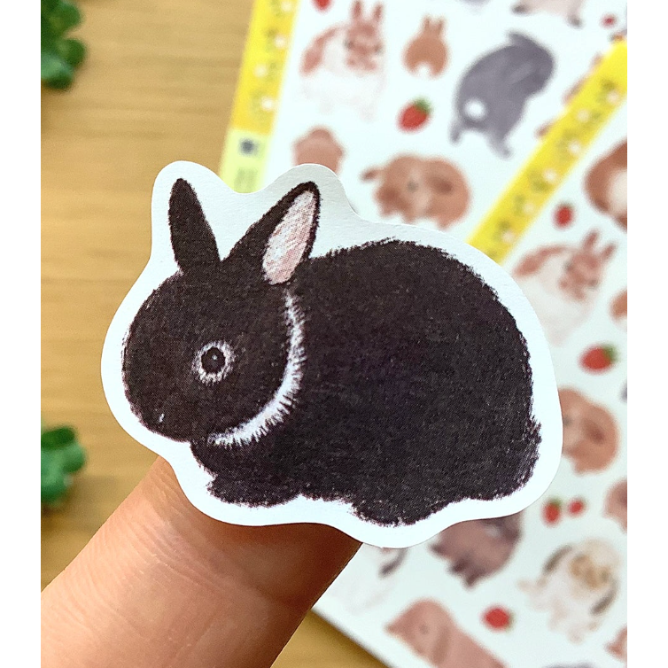 4legs 上質紙貼紙組 春天的兔兔款 4 legs 貓咪 日本製【立夏手帳生活】-細節圖7