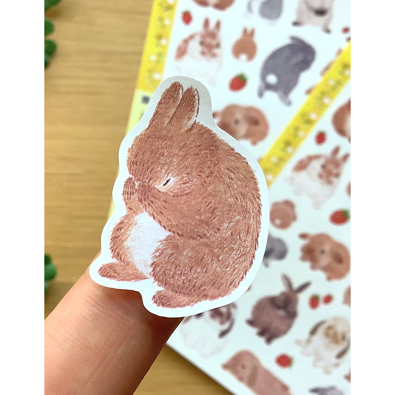 4legs 上質紙貼紙組 春天的兔兔款 4 legs 貓咪 日本製【立夏手帳生活】-細節圖8