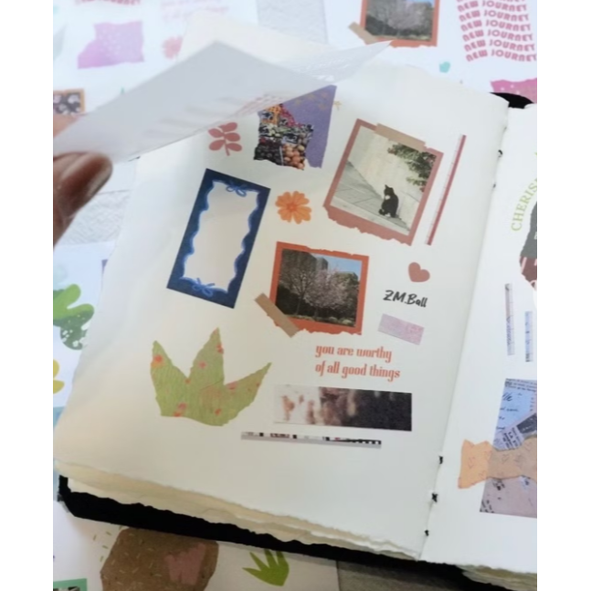 莫非是芝麻球『彩色回憶』轉印貼紙【立夏手帳生活】-細節圖3