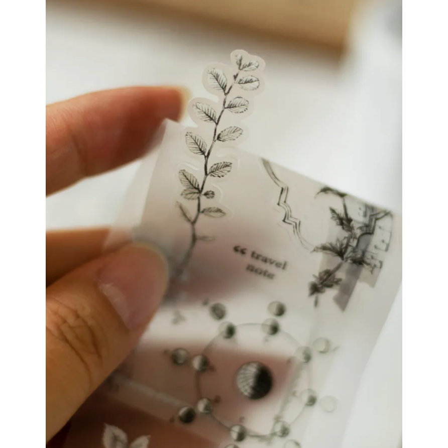 樂意loidesign 拾光採集Collected Moments 5cm割型霧面PET膠帶 【立夏手帳生活】-細節圖5