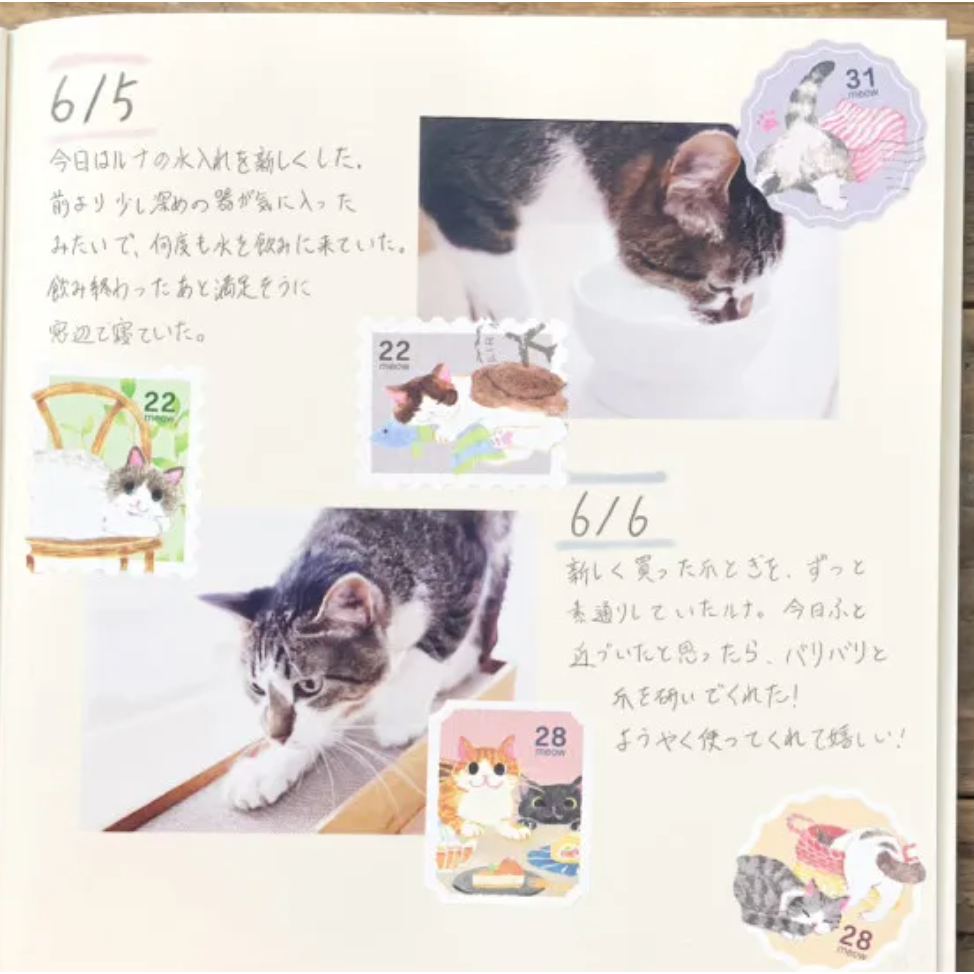 【4款】NB社「貓咪生活系列」割型貼紙包 日本製【立夏手帳生活】-細節圖7
