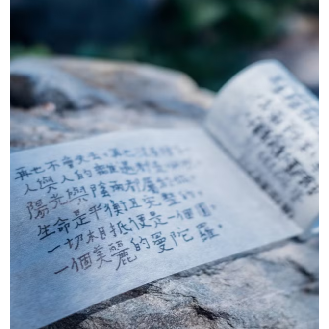 甜蜜生活 La Dolce Vita 我想帶你回我的星星裏去 文字紙膠帶【立夏手帳生活】-細節圖2