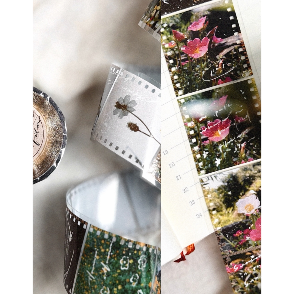 茄子先生 底片裡的花 Hanami Film 3.5cm亮面PET膠帶 【立夏手帳生活】-細節圖2
