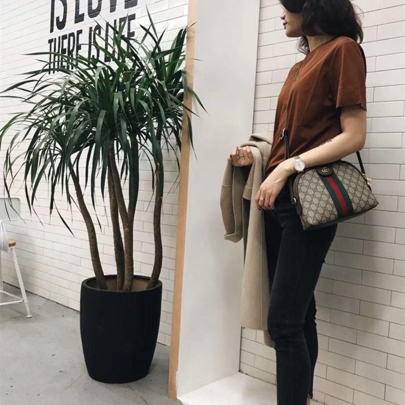 二手99新GUCCI古馳OPHIDIA 女士米色帆布金屬雙G貝殼包 蔡依林同款-細節圖4