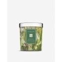 【Jo Malone】公益蠟燭 香氛蠟燭 接骨木花醋栗 牡丹苔蘚 鳶尾天竺葵 白丁香大黃 鈴蘭常春藤 200g-規格圖4