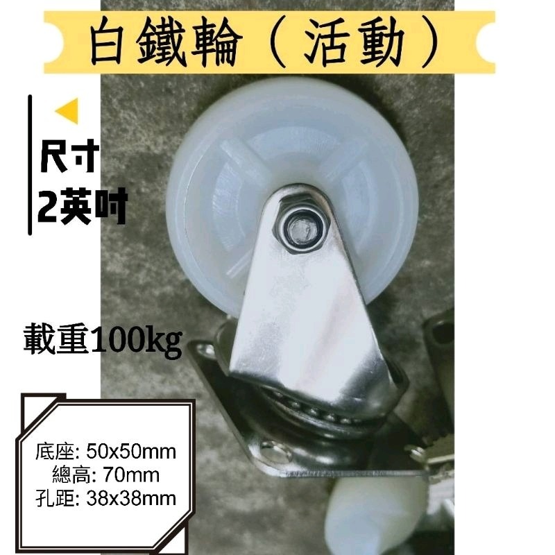 ✨金星車輪✨2英吋白鐵輪 不生鏽 耐磨 耐用 尼龍輪 白鐵架 載重 活動 固定 剎車-細節圖6