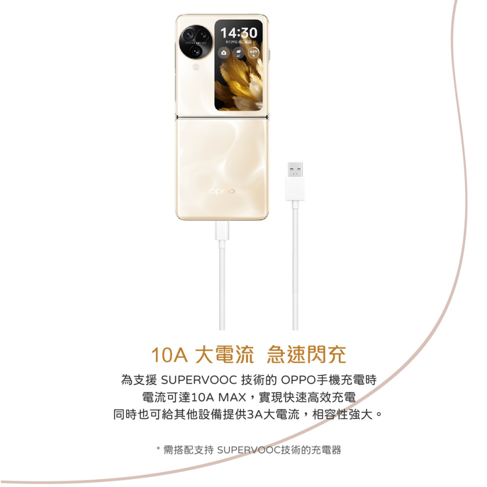 OPPO【原廠密封裝】SuperVOOC超級閃充 10A Type-C 充電線 (DL129)-細節圖7