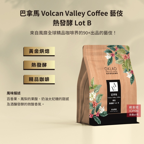 【歐客佬】巴拿馬 Volcan Valley 藝伎 熱發酵 Lot B 咖啡豆 (半磅) 黃金烘焙《買2送1》