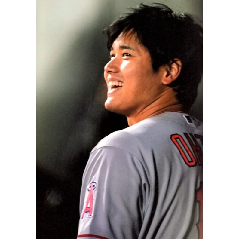 現貨🧢⚾大谷翔平全壘打藝術家全軌跡完全解析專集 大谷翔平ホームランアーティストの全軌跡　9784065340318-細節圖2