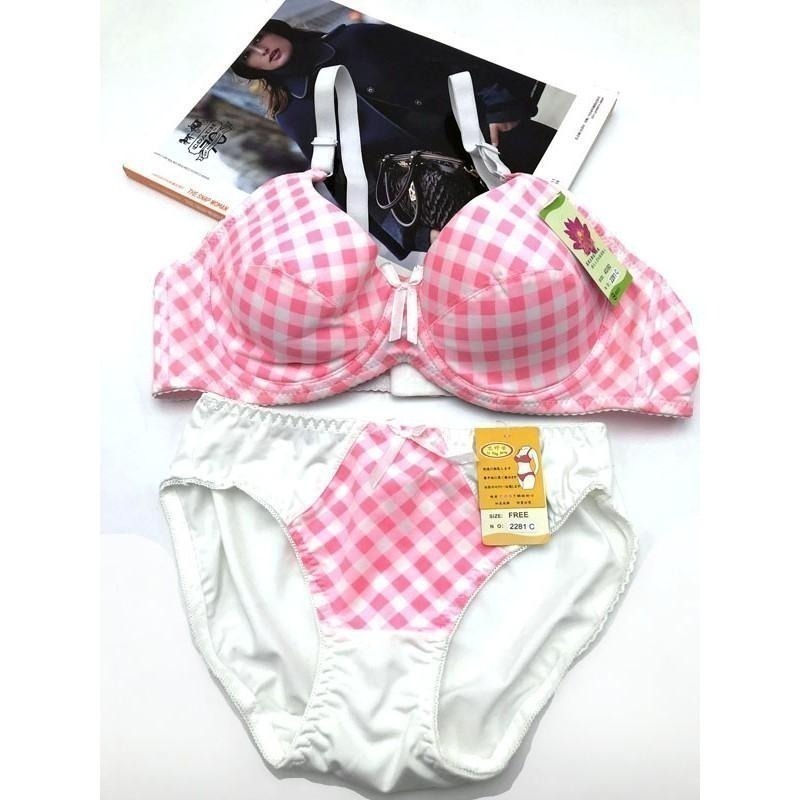 【采靚】美麗心情 生動嫵媚 鋼圈內衣-粉格紋/藍格紋 【格紋內衣 / 小褲】2281/2282-細節圖2