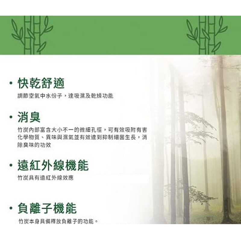 口罩套 口罩防塵套 竹炭抗菌除臭口罩套  防護口罩 可水洗 口罩保護套 台灣製MIT_FC-032-細節圖2