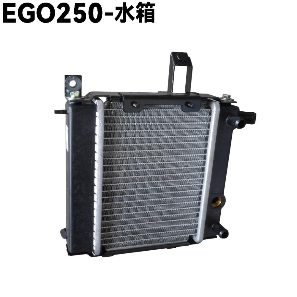 EGO 250-水箱【SH50CA、光陽】-細節圖2