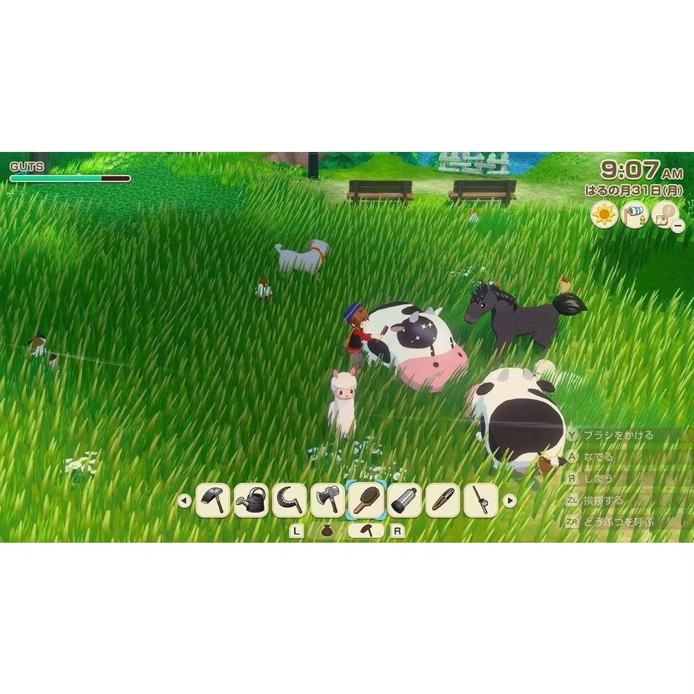 【東晶電玩】  Switch2 NS2 牧場物語 來吧！風之繁華市集 中文版、附贈預購特典(全新、現貨)-細節圖4