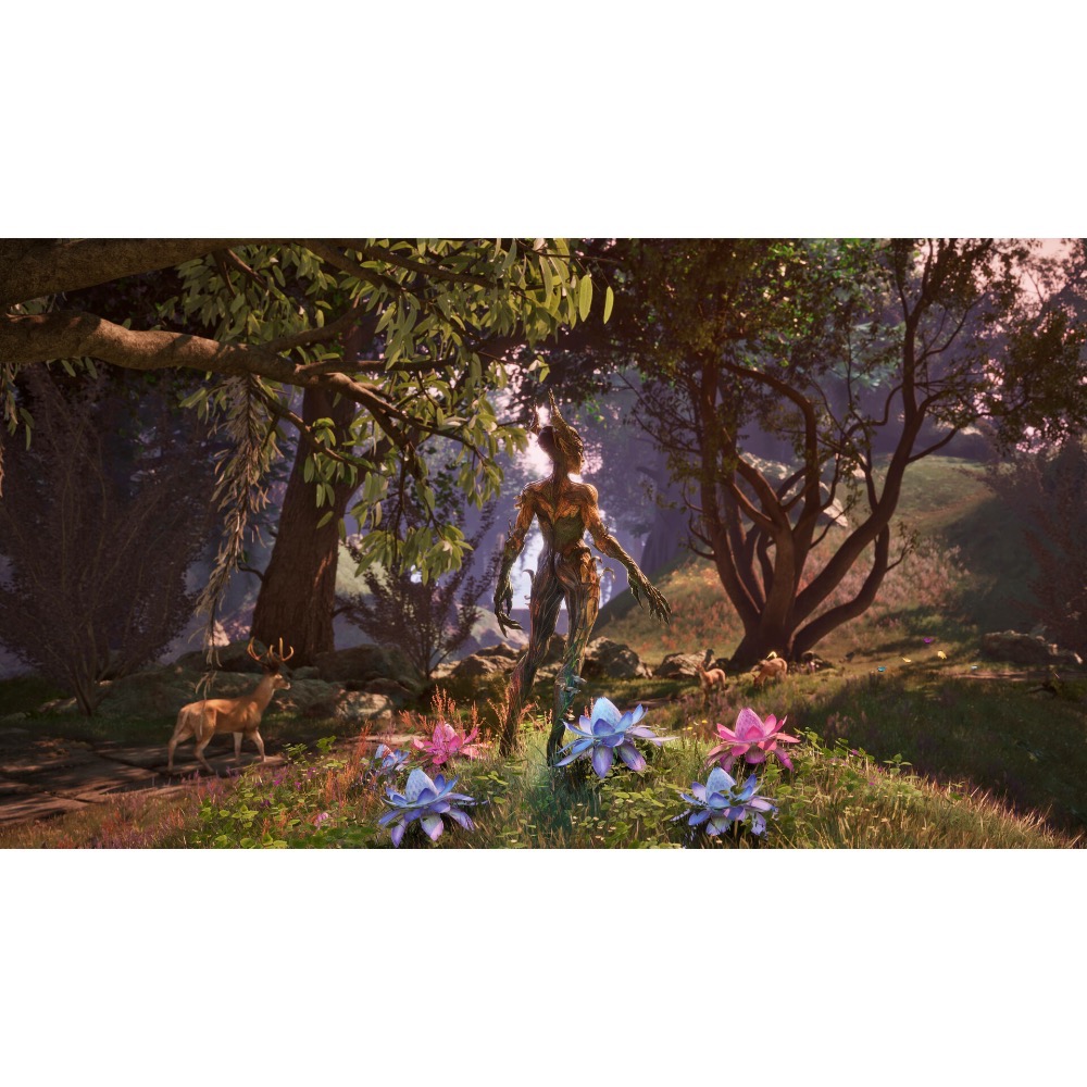 【東晶電玩】 PS5 上古卷軸 4：遺忘之都 重製版 簡體中文版 豪華版(全新、現貨)-細節圖4