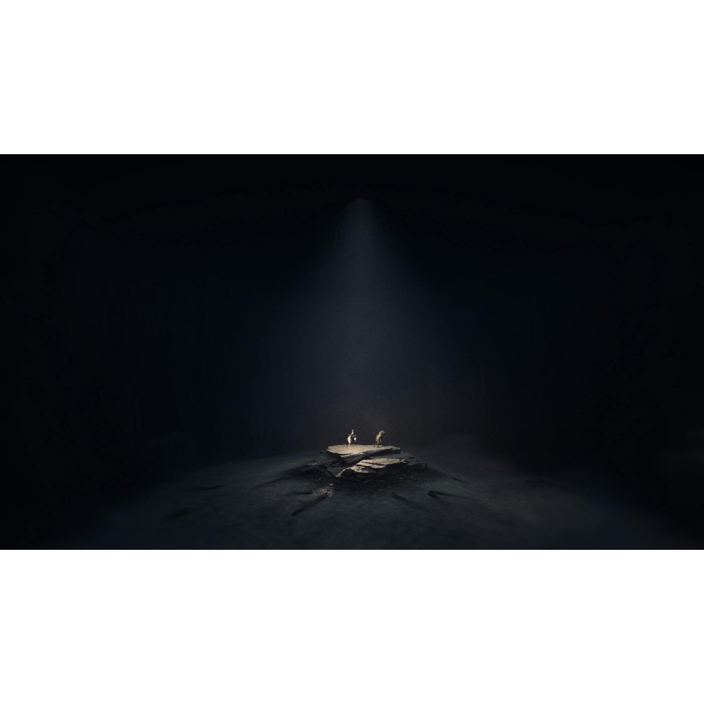 【東晶電玩】 NS2 生靈重塑 Reanimal 中文版（全新、現貨)-細節圖7