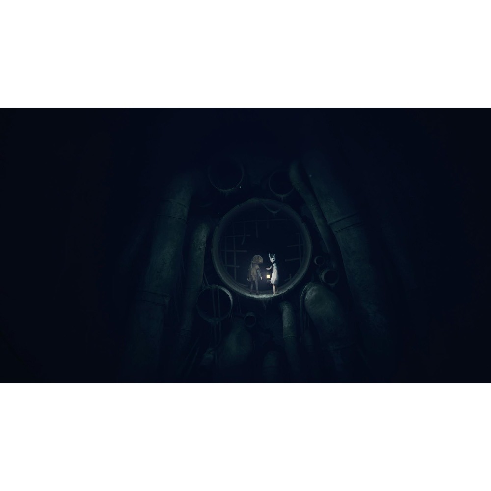 【東晶電玩】 NS2 生靈重塑 Reanimal 中文版（全新、現貨)-細節圖9