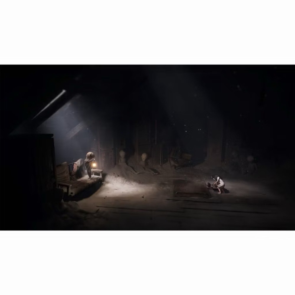 【東晶電玩】 PS5 生靈重塑 Reanimal 中文版（全新、現貨)-細節圖3