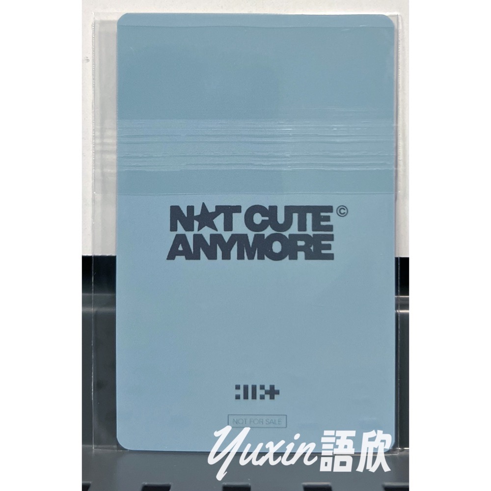 現貨✅ ILLIT 官方 小卡 NOT CUTE ANYMORE 專輯 UNIVERSAL 環球 來日紀念 LD 特典-細節圖2