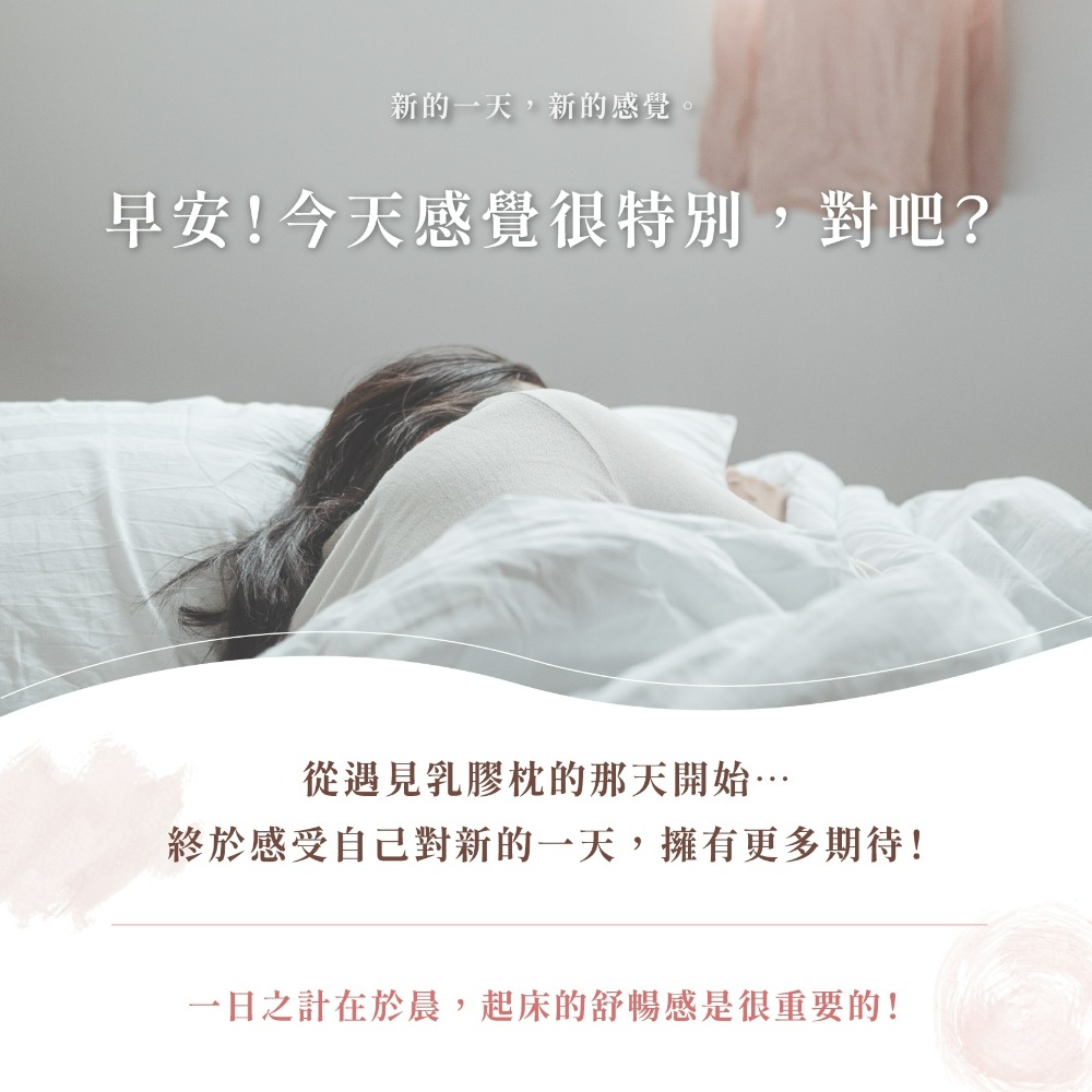 【夢境】台灣製 馬來西亞 天然乳膠枕【護頸止鼾型】人體工學 彈力支撐 止鼾 防蹣抗菌-細節圖9