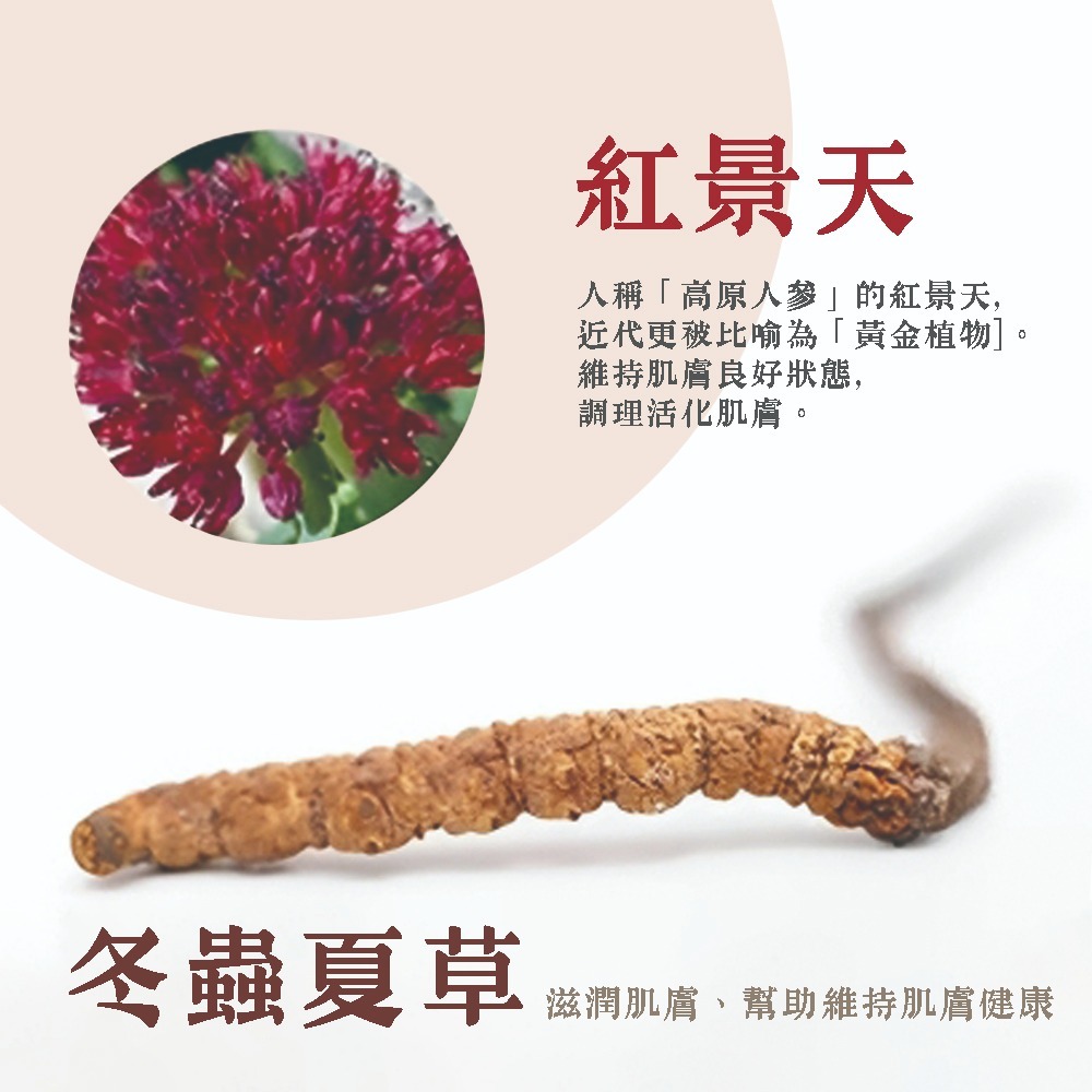 【樹飛雪】大薑軍 活力滲透霜 50g-細節圖3