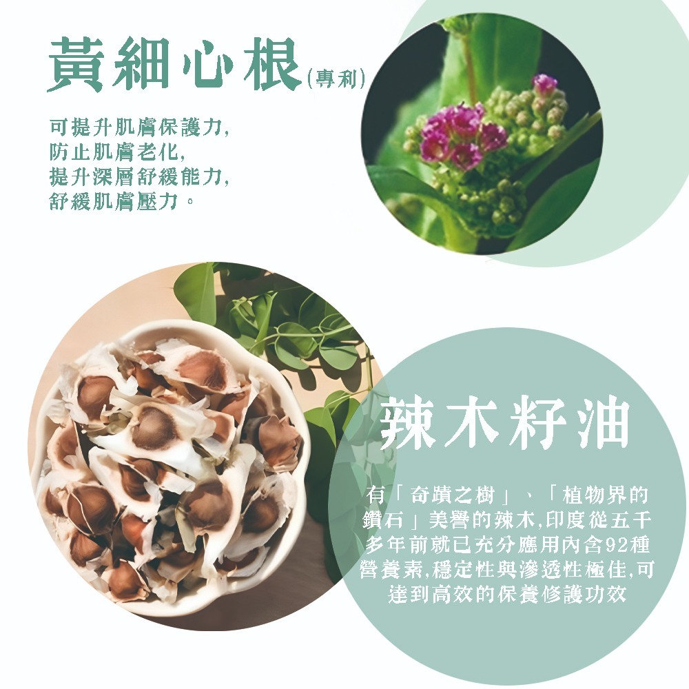 【樹飛雪】大薑軍 活力滲透霜 50g-細節圖4