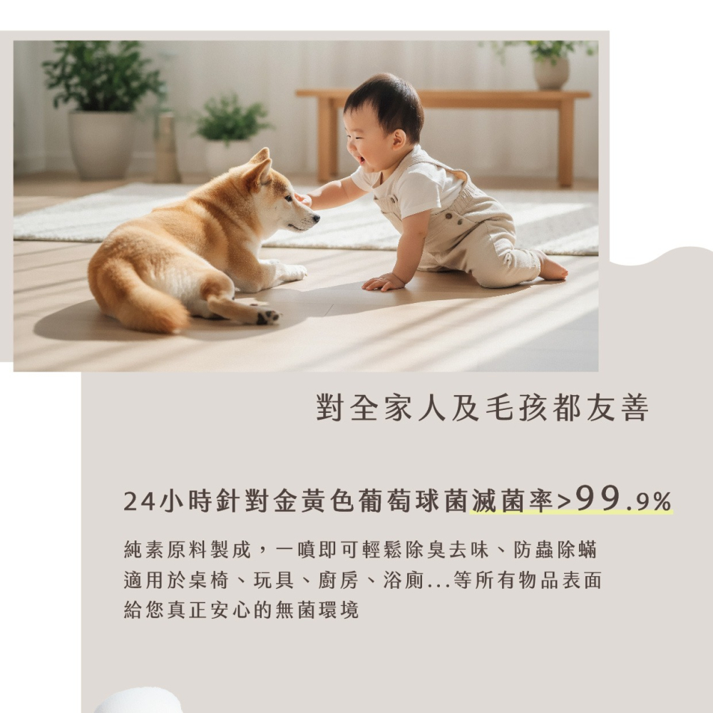 【WASHWISE 聰明洗】物品萬用清潔噴霧 400ml 友善環境 愛護地球-細節圖4