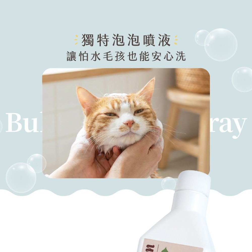 【WASHWISE 聰明洗】毛孩泡泡洗/去味噴霧 400ml 寶貝毛孩 友善環境 愛護地球-細節圖5